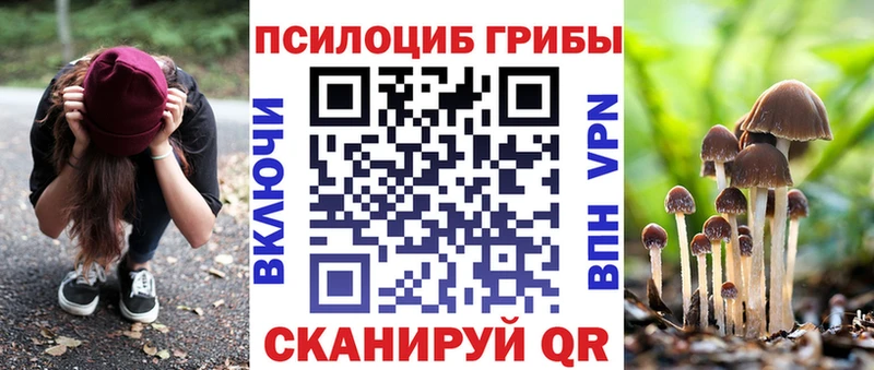 кракен маркетплейс  где купить наркотик  Злынка  Псилоцибиновые грибы Cubensis 